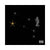 Gemelli Ascendente Milano | 2LP
