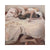 cover del nuovo album musicale di nuovi inediti e canzoni di michele bravi la cover del progetto presenta un'immagine con effetto dipinto sui toni del beige con un grande letto matrimoniale sfatto e due persone una sopra il letto che abbraccia ad un cane marrone a pancia in su e le lenzuola disordinate e da sotto il letto si vedono due gambe di uomo uscire a contatto con il pavimento