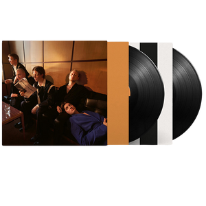 Giant Rooks, How Have You Been? | Doppio Vinile 1