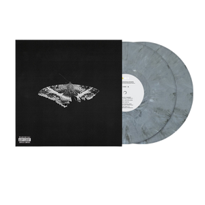 Kendrick Lamar, To Pimp a Butterfly (10 Year Anniversary Edition) | Doppio Vinile Colorato Alternate Artwork 1
