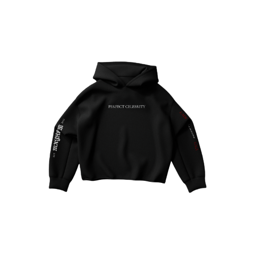 Lady Gaga, Perfect Celebrity | Hoodie nera 1