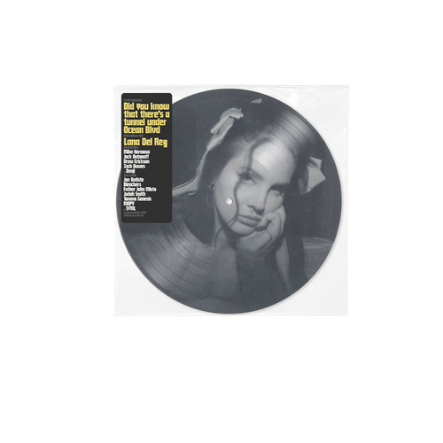 Lana Del Rey, Did you know that there's a tunnel under Ocean Blvd | Doppio Vinile Picture Disc 1