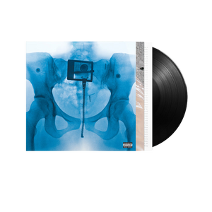 Lorde, VIRGIN | STANDARD LP + CARD AUTOGRAFATA 1