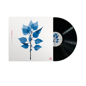 Matt Berninger, Get Sunk | Vinile 1