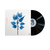 Matt Berninger, Get Sunk | Vinile 1
