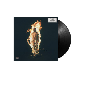 Metro Boomin, Heroes & Villains | Vinile Alternative cover 1