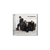 The Cranberries, No Need To Argue | CD 1