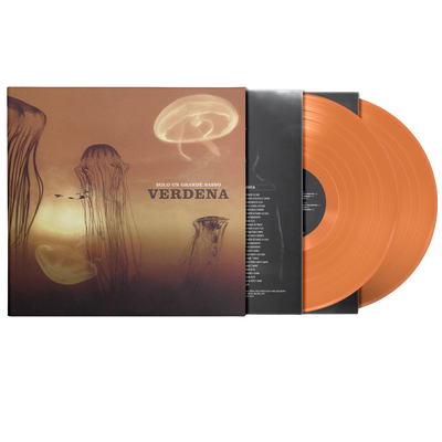 Verdena, Solo Un Grande Sasso | Doppio Vinile Colorato Numerato 1