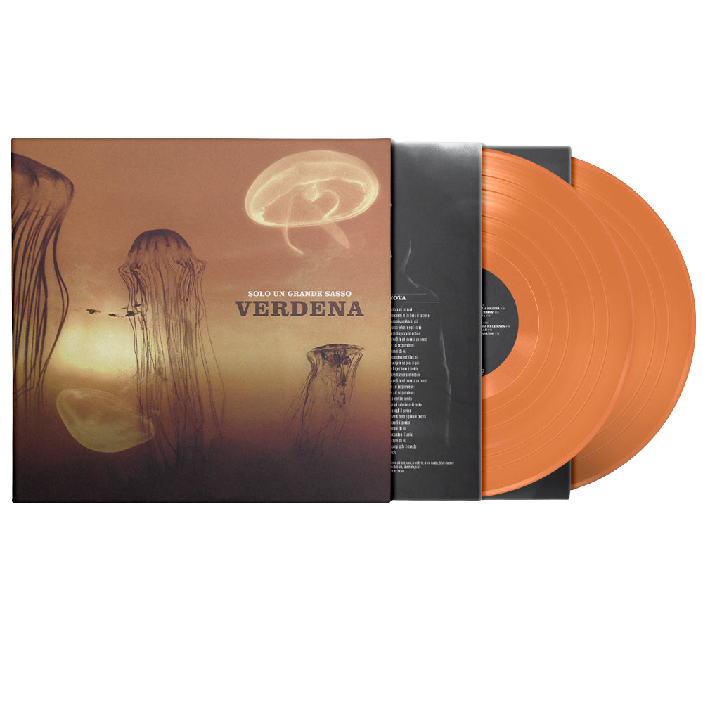 Verdena, Solo Un Grande Sasso | Doppio Vinile Colorato Numerato 1