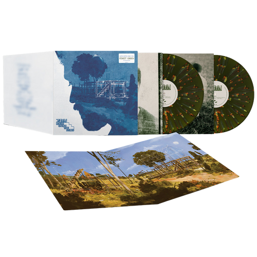 Zayn, Room Under The Stairs | Doppio Vinile 1