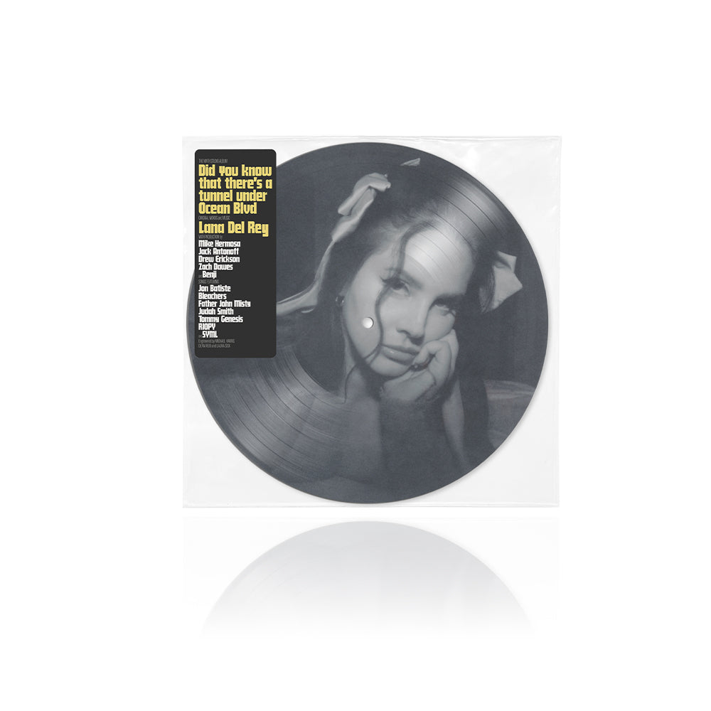 Did you know that there's a tunnel under Ocean Blvd | Doppio Vinile Picture Disc