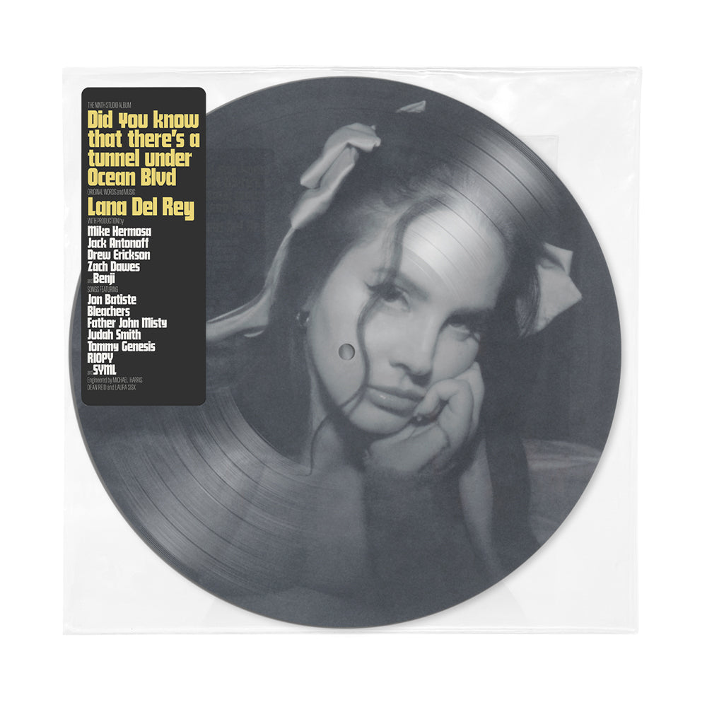 2LP Picture disc Did you know that there's a tunnel under Ocean