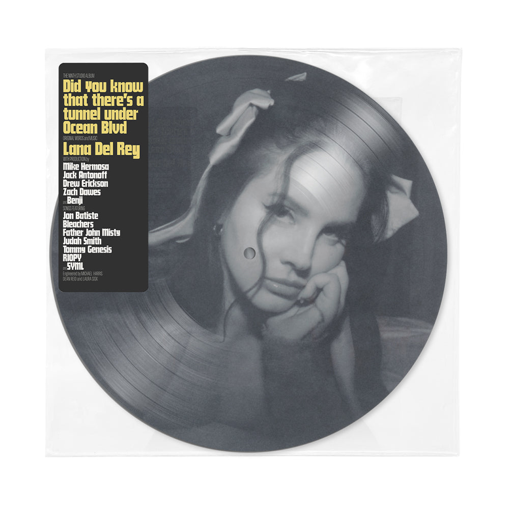 Did you know that there's a tunnel under Ocean Blvd | Doppio Vinile Picture Disc