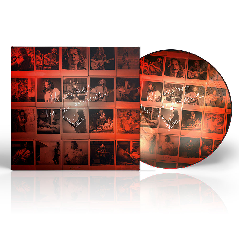 No One Sings Like You Anymore - Volume 1 | Picture Disc LP