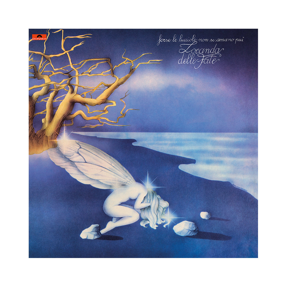 Forse le lucciole non si amano più Forse Le Lucciole Non Si Amano Più: Locanda Delle Fate